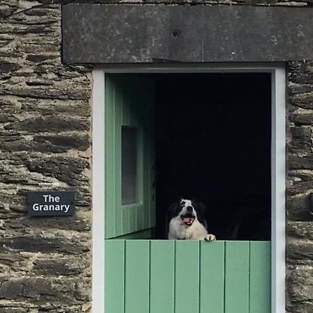 Dog Friendly Cottage, Geufron Farm Near Tywyn Bryn-crug Exterior photo