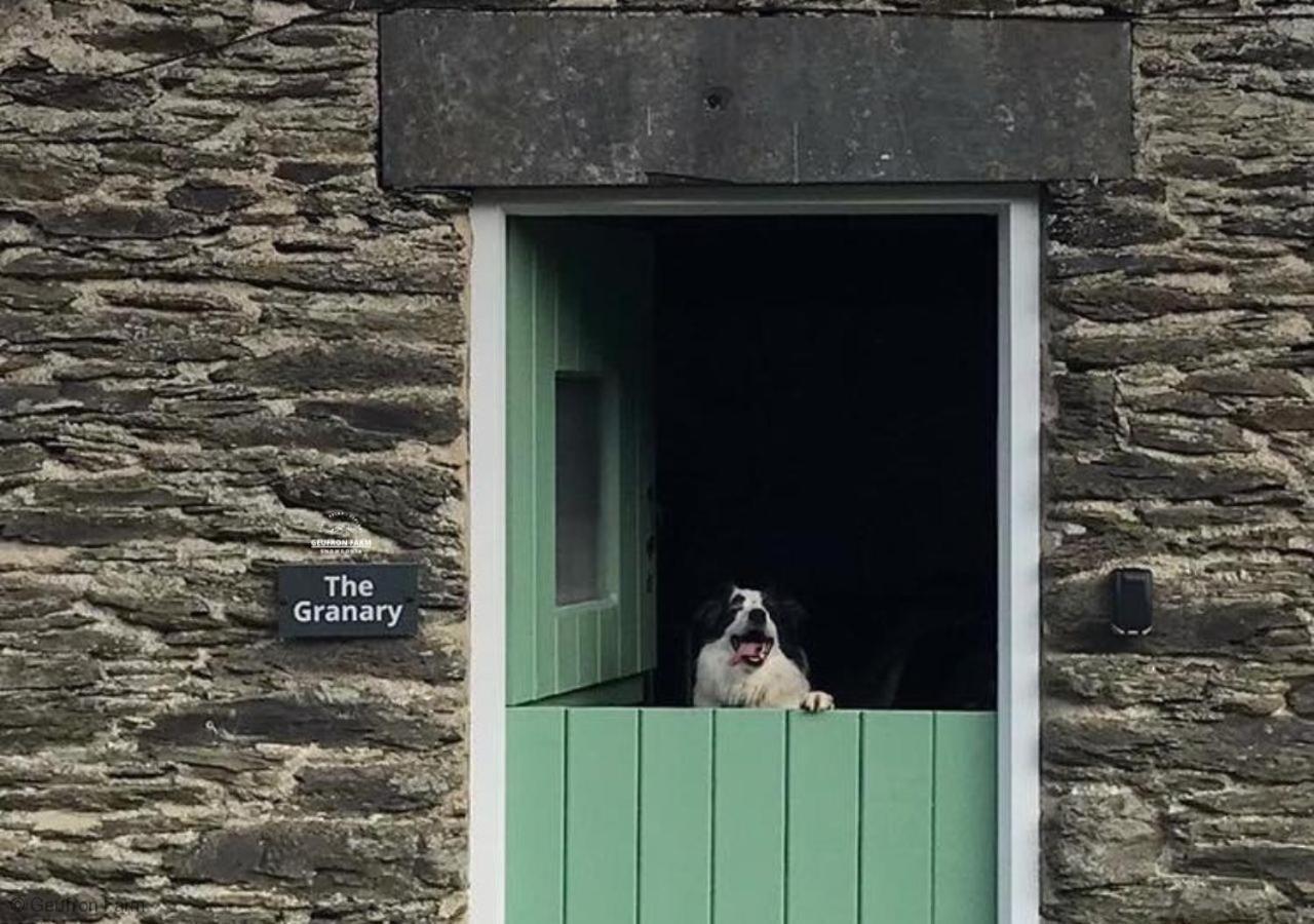 Dog Friendly Cottage, Geufron Farm Near Tywyn Bryn-crug Exterior photo